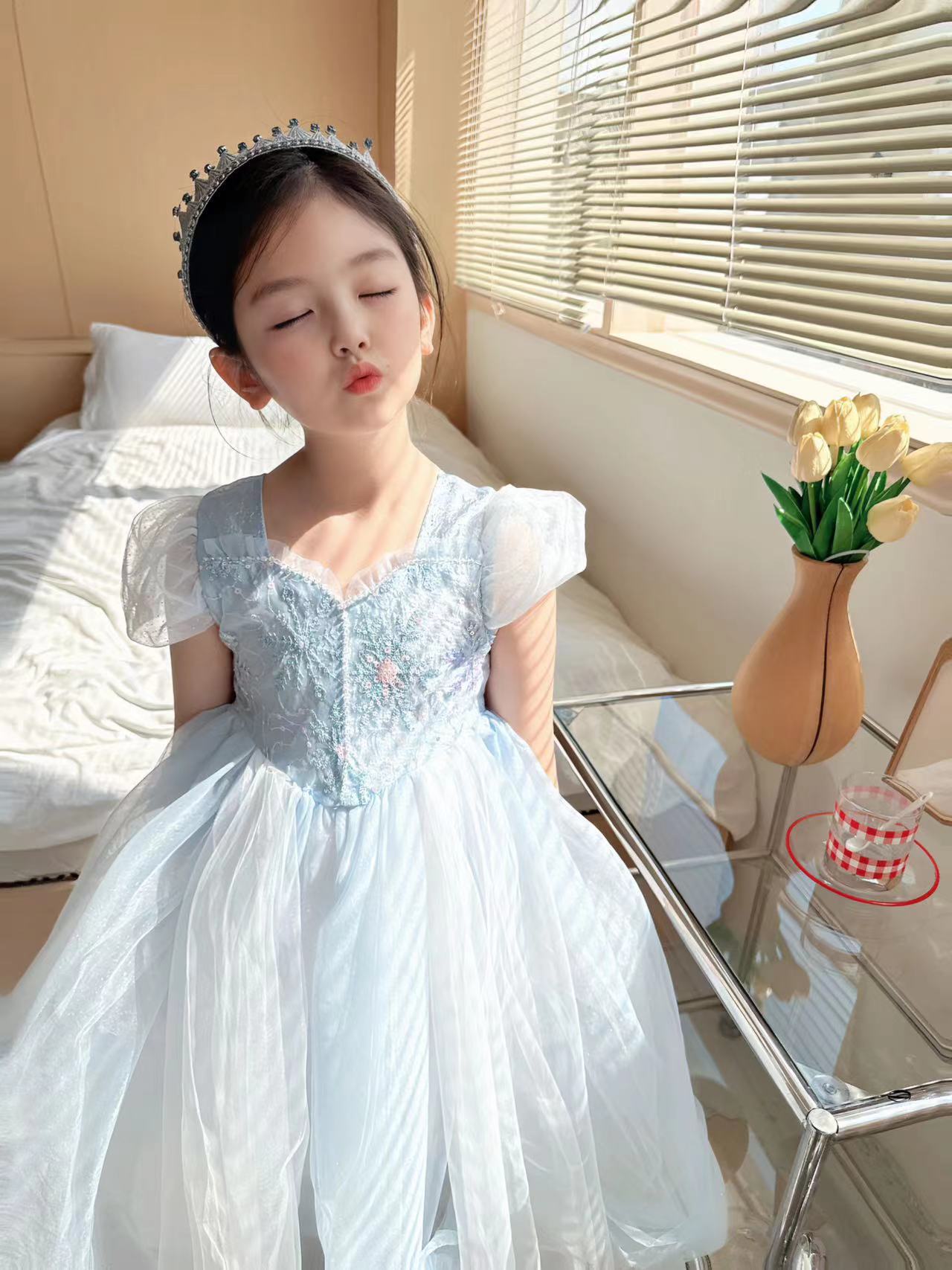 Embroidered Elsa Girls Dress f - Baby Clothing Dresser 评论和价格